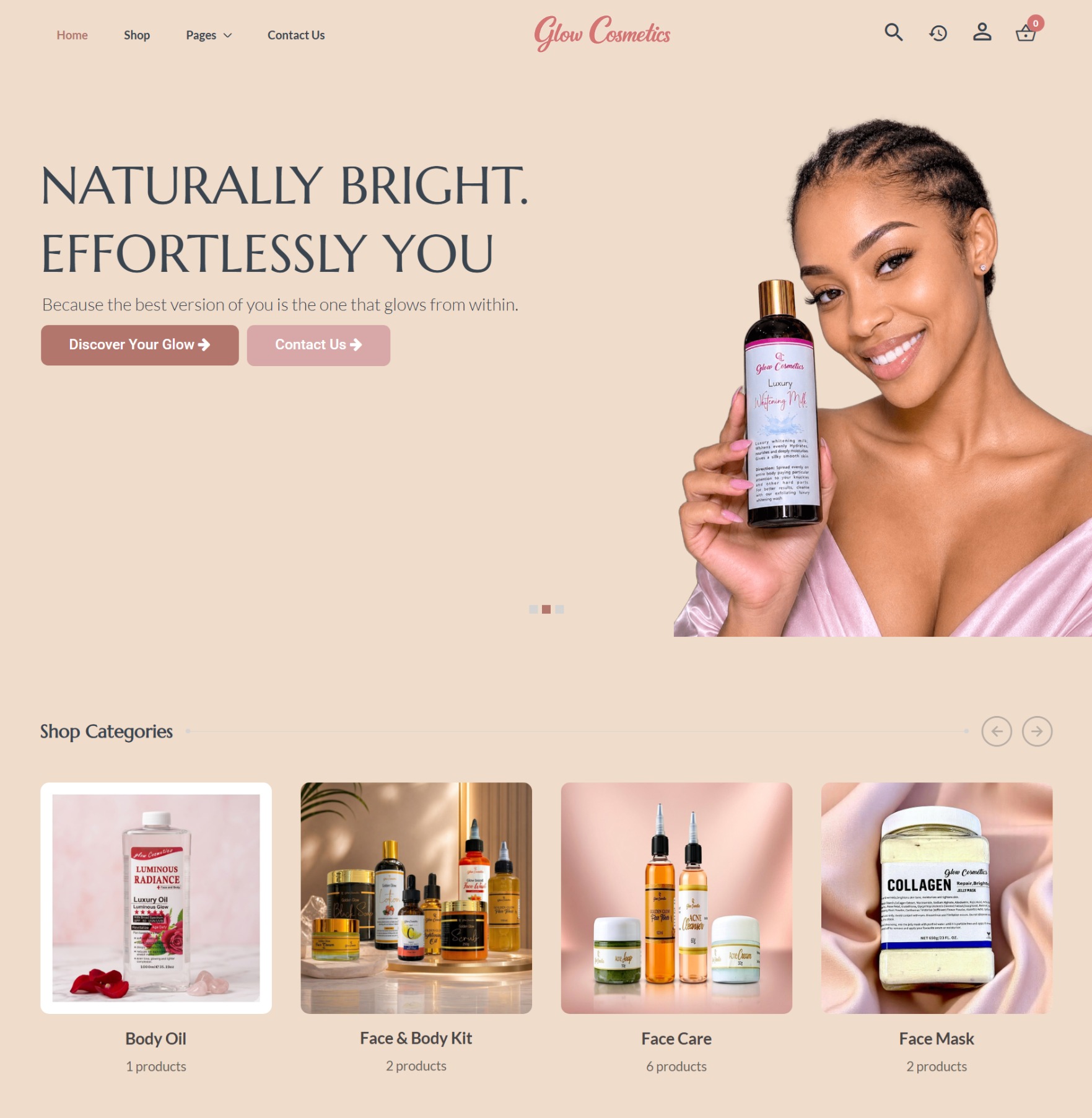 Isaacski Web Development Agency - Project